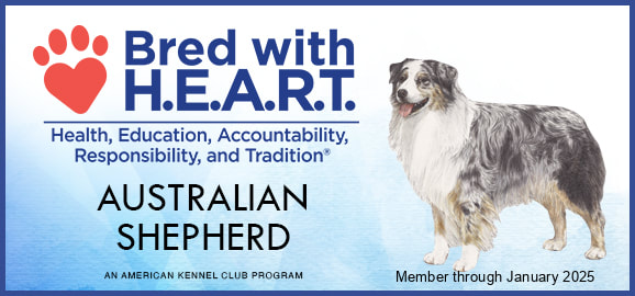 Bred with Heart AKC Australian Shepherd Certificate 